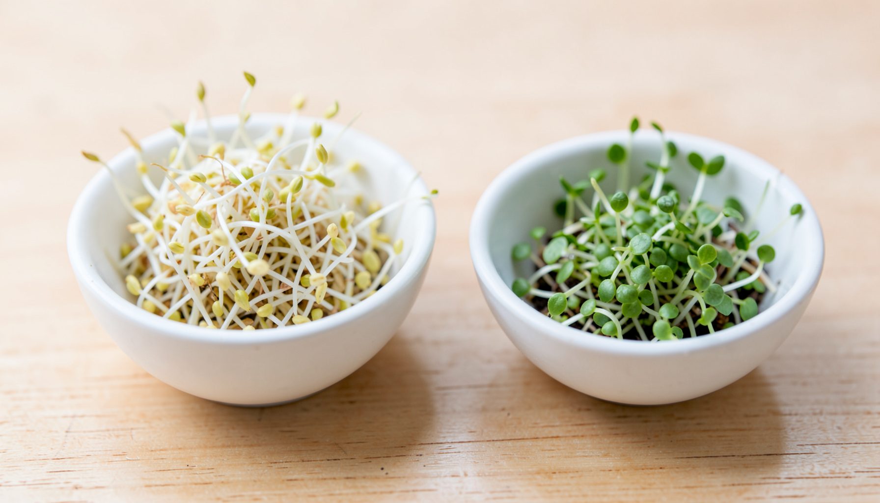 Two small bowls side by side on a light wooden surface: one holding delicate sprouts, the other holding tiny microgreens